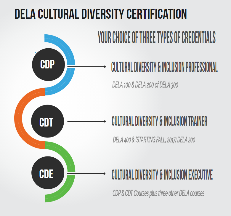 What is Diversity Certification?